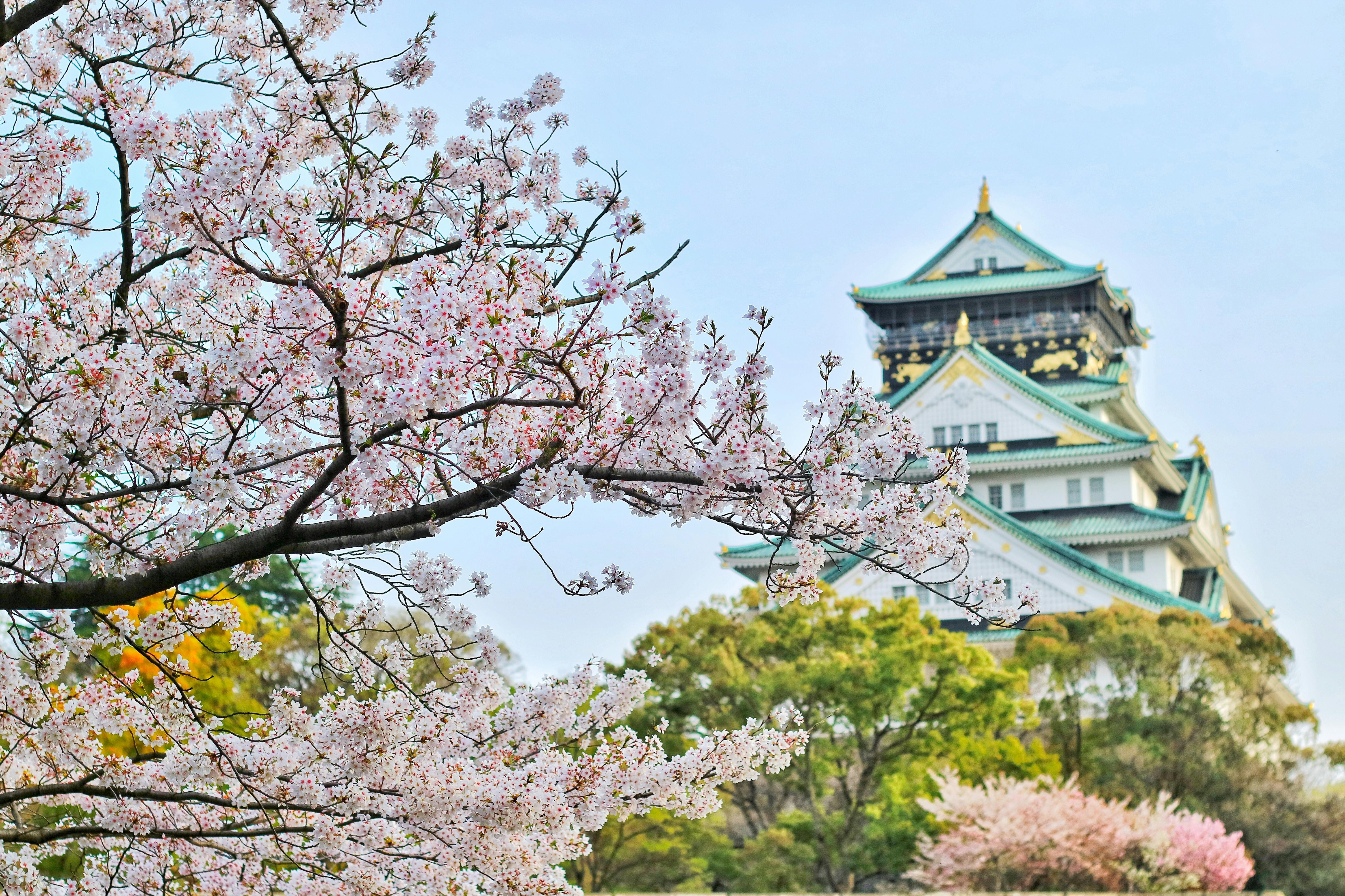 Hostels in Osaka